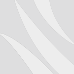 FREE ONLINE RISK REPORT
