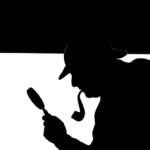 DETECT ILLEGALITIES IN MALLORCA